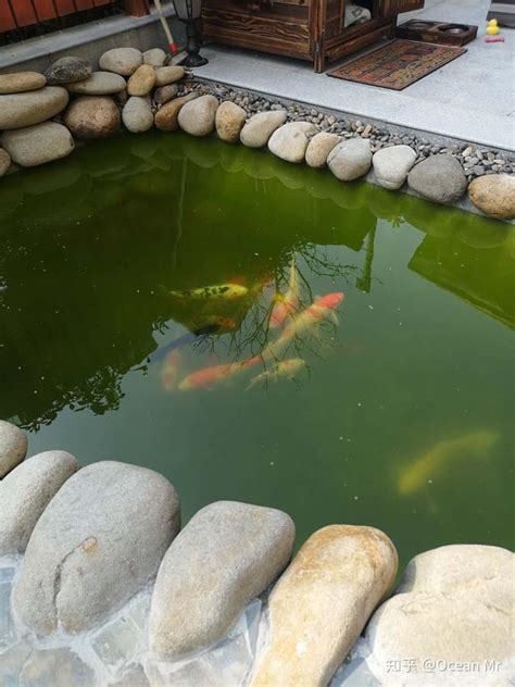 三合院水池功用 什么鱼好养